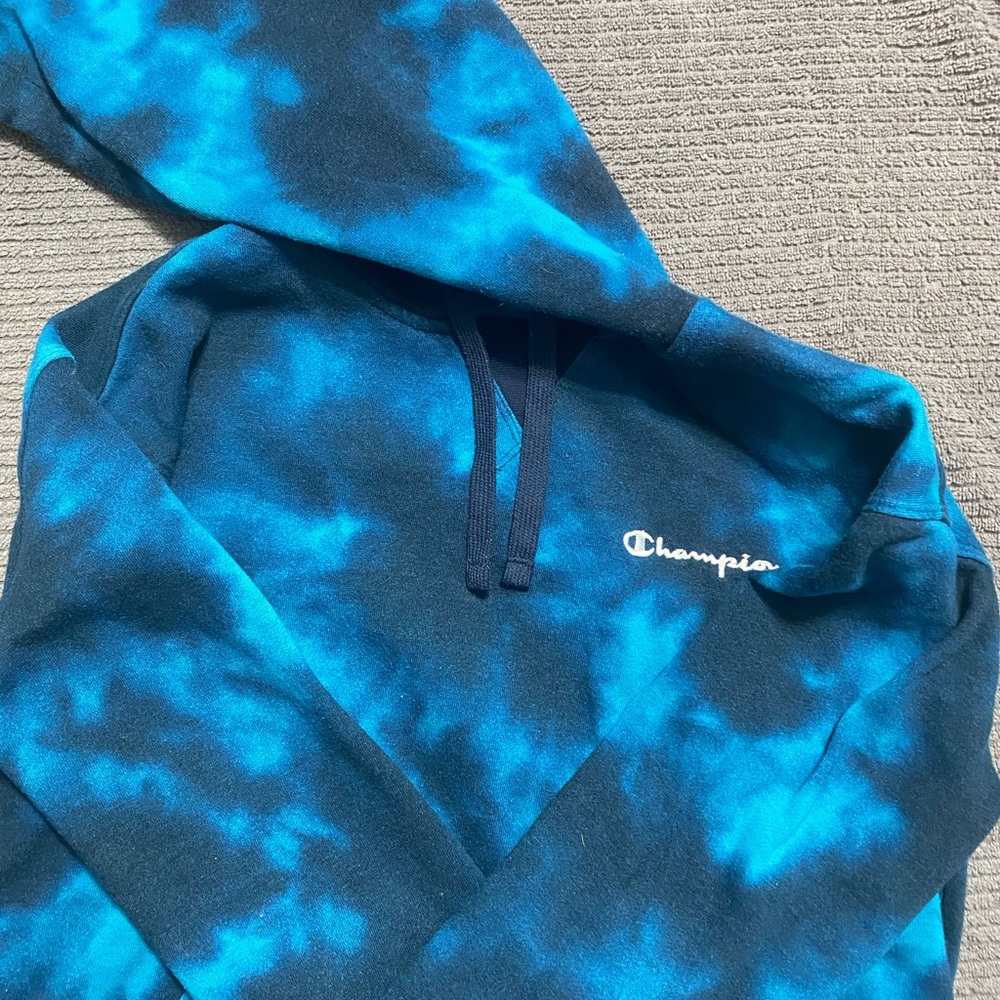 Champion Adult Pullover Sweatshirt